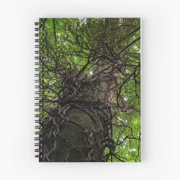 Item preview, Scrambly Tree designed and sold by ImGreen.