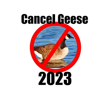 Artwork thumbnail, Cancel Geese 2023 by RaspberryPunch