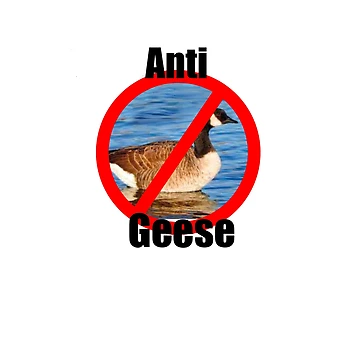 Artwork thumbnail, Anti Geese by RaspberryPunch