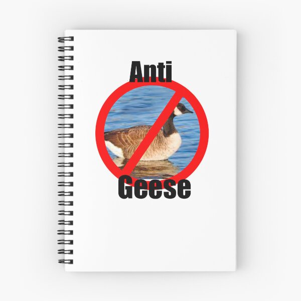 Aperçu de l'œuvre Anti Oies créée et vendue par RaspberryPunch.