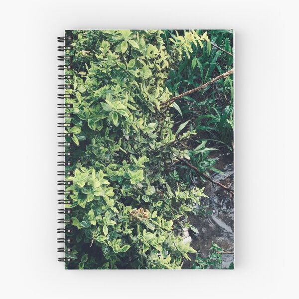 Item preview, nature in May designed and sold by GodComplexMuch.