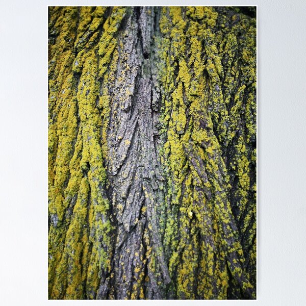 Item preview,  Green Yellow Bark 2022 designed and sold by WiseFlyDesign.