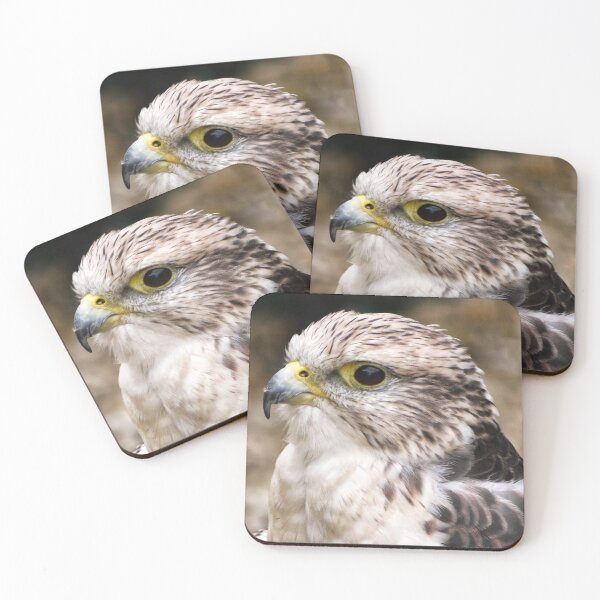 Item preview, 8CE377A3-Falcon designed and sold by jalfc46.