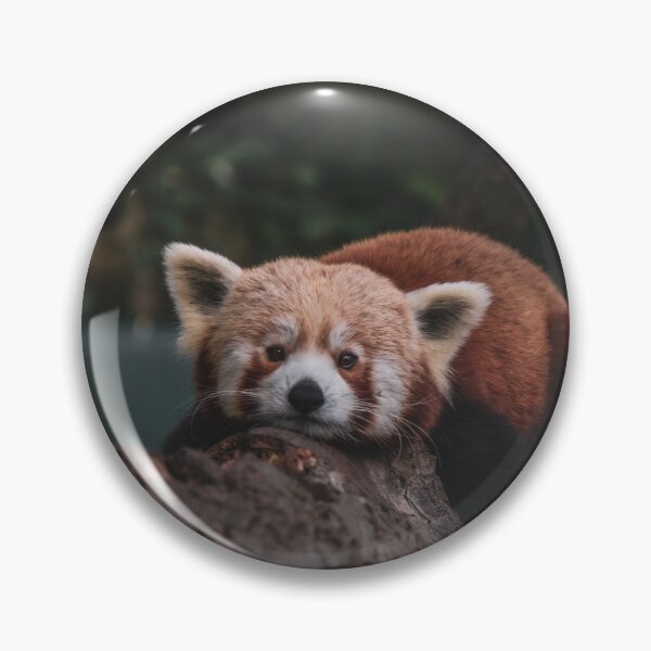 Item preview, Red Panda 2 designed and sold by SWilliamson94.