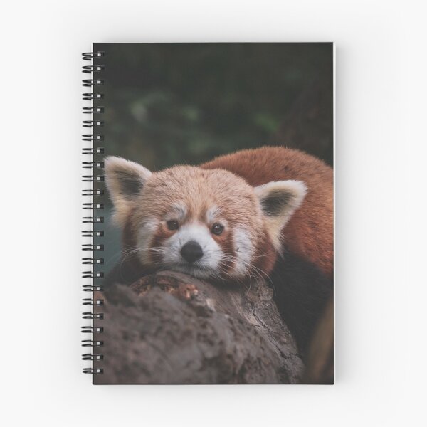 Item preview, Red Panda 2 designed and sold by SWilliamson94.