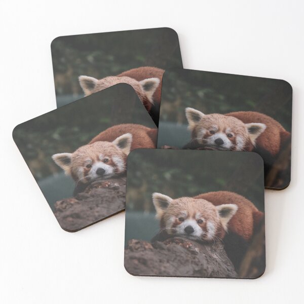 Item preview, Red Panda 2 designed and sold by SWilliamson94.