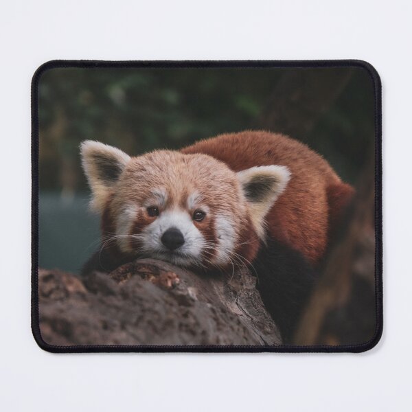 Item preview, Red Panda 2 designed and sold by SWilliamson94.