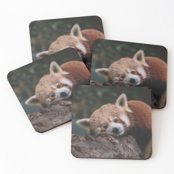 Item preview, Red Panda 3 designed and sold by SWilliamson94.