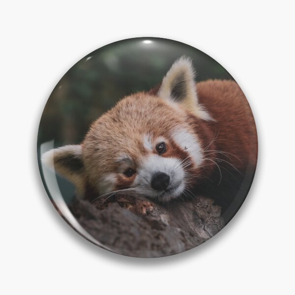 Item preview, Red Panda 3 designed and sold by SWilliamson94.