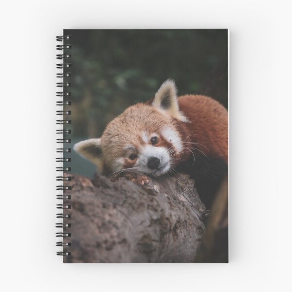 Item preview, Red Panda 3 designed and sold by SWilliamson94.