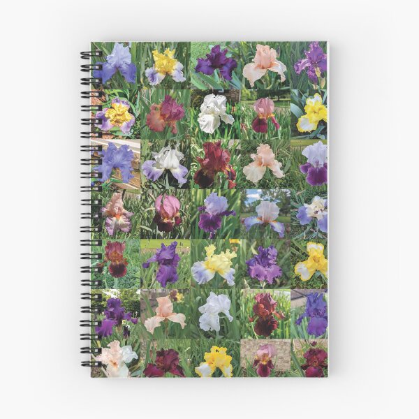 Artikelvorschau, Tante Bevs Irisgarten entworfen und verkauft von PeachPaisleyPro.