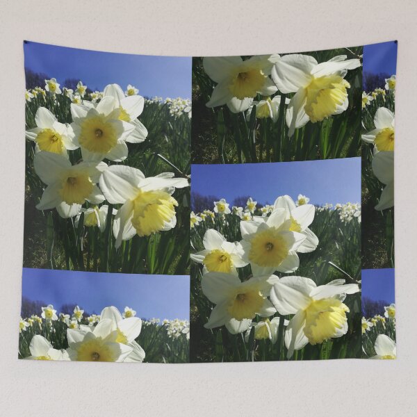 Item preview, Daffodils photograph  designed and sold by esvb.