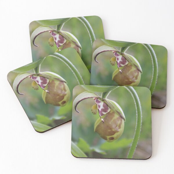 Item preview, Lady Slipper Orchid designed and sold by Amy Dandridge.