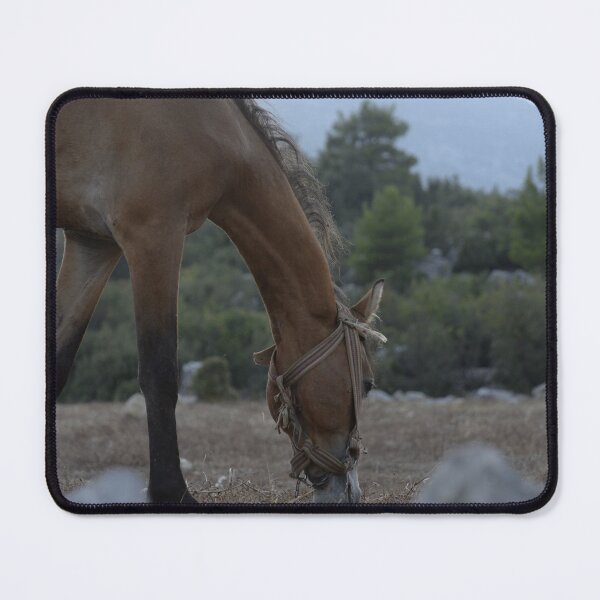 Item preview, Grazing horse designed and sold by Ntograph.