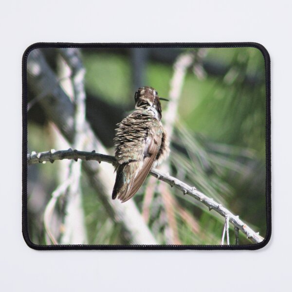 Item preview, Quit ruffling my feathers designed and sold by djsfoto.