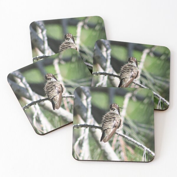 Item preview, Quit ruffling my feathers designed and sold by djsfoto.