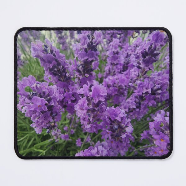 Item preview, I lavander  designed and sold by raykillye08.