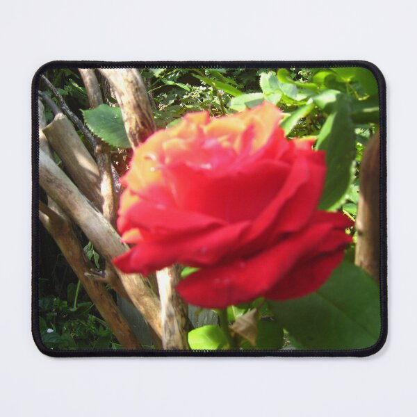 Item preview, Rose flower designed and sold by Seni Lawal.