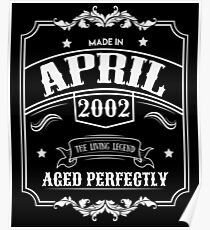 16th Birthday Gift - Born in April 2002 - Perfect BDay Present Poster
