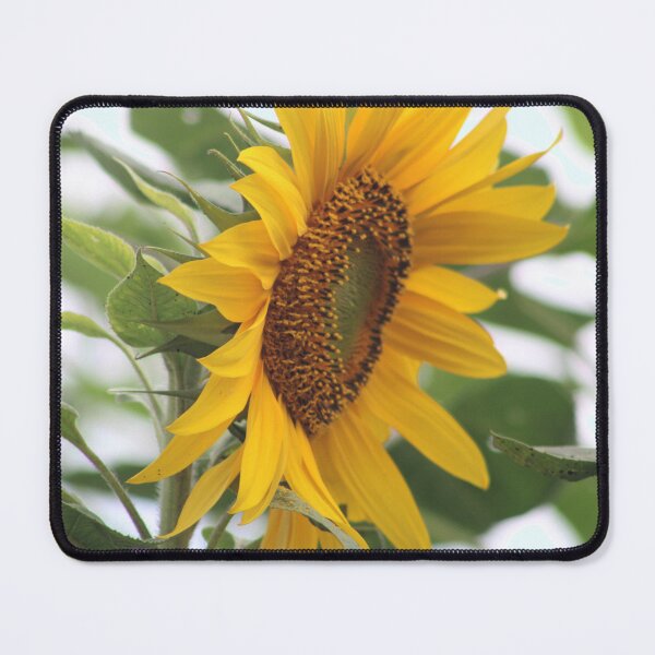 Item preview, Soaking up the sun designed and sold by djsfoto.