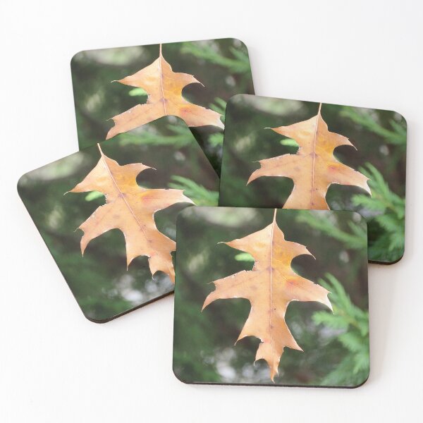 Item preview, Leaf designed and sold by L.D. Franklin.
