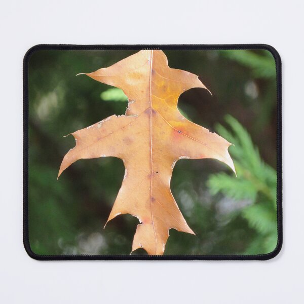 Item preview, Leaf designed and sold by L.D. Franklin.