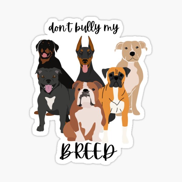 AMERICAN BULLY Xl Slogans Dont Bully My Breed Digital Download 