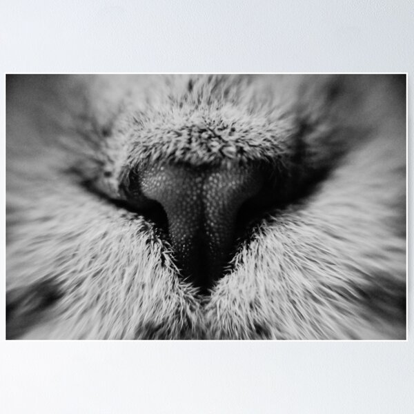 Item preview, Macro Noses designed and sold by Yevgeni Kacnelson.