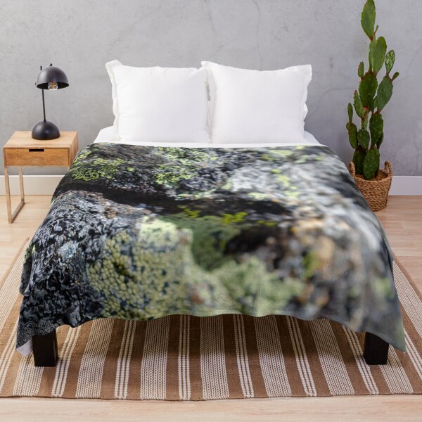 Item preview, Mossy Rocks Photograph designed and sold by CaffeinatedVibe.