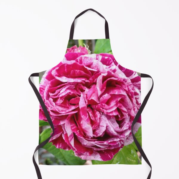 Aperçu de l'œuvre Rosa Mundi créée et vendue par AMGstuff.
