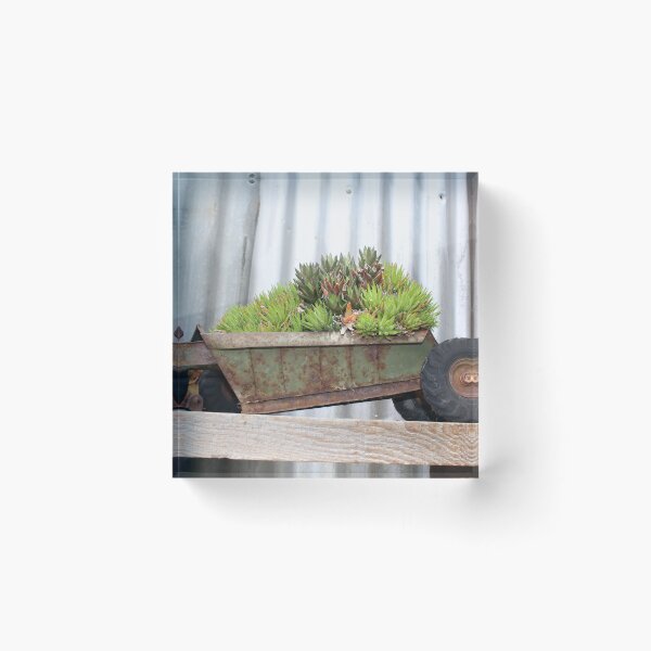 Item preview, Plants in a wheelbarrow designed and sold by bookwoof.