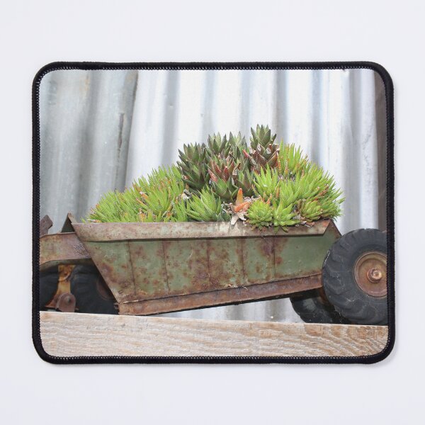 Item preview, Plants in a wheelbarrow designed and sold by bookwoof.