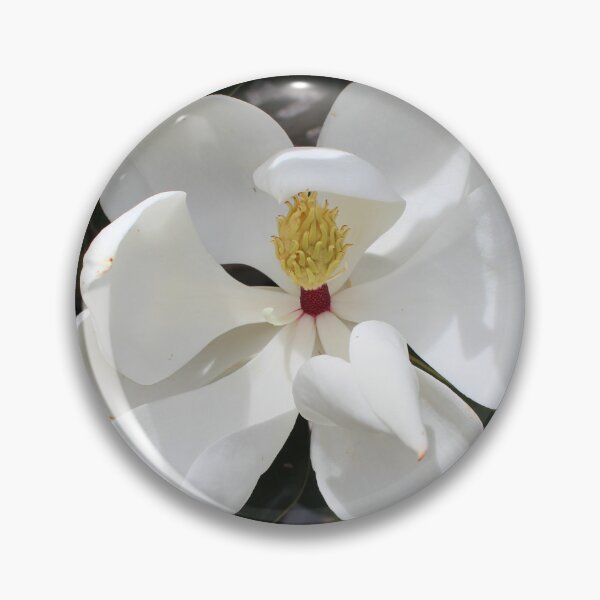Artikelvorschau, White flower entworfen und verkauft von bookwoof.