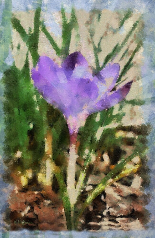 "First Bulb of Spring" by Hoffman Redbubble