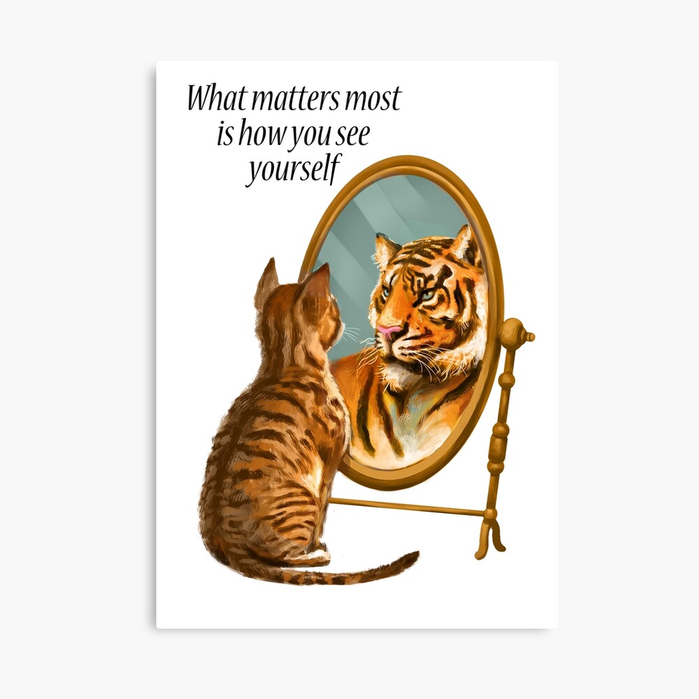 Impression Photo Message De Chat Et De Miroir De Tigre Par Hazynz Redbubble