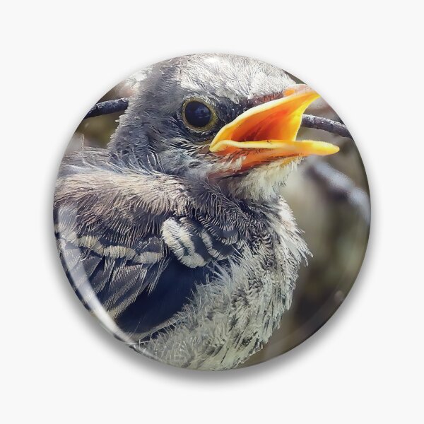 Item preview, Baby Mocking Bird designed and sold by Jeffrey Mask.