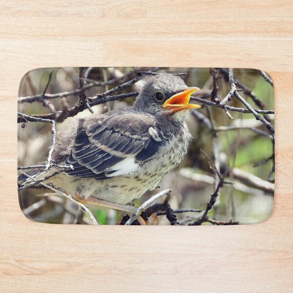 Item preview, Baby Mocking Bird designed and sold by Jeffrey Mask.
