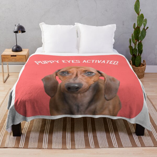 Item preview, Dachshund Puppy Eyes Activated designed and sold by MadiervArt.