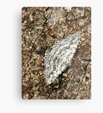 Survival Mode Metal Print