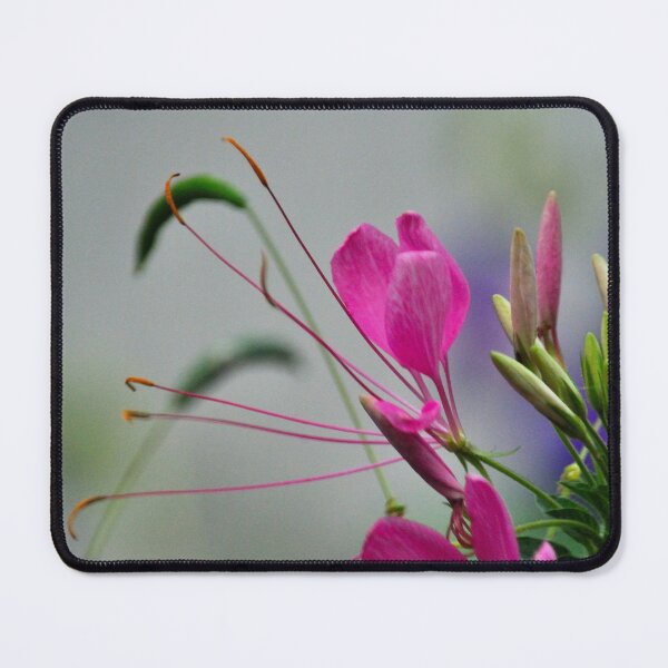 Item preview, Colorful Dance designed and sold by michaelasamples.