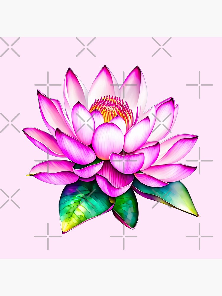 Shaped By Lotus – Shaped by Lotus