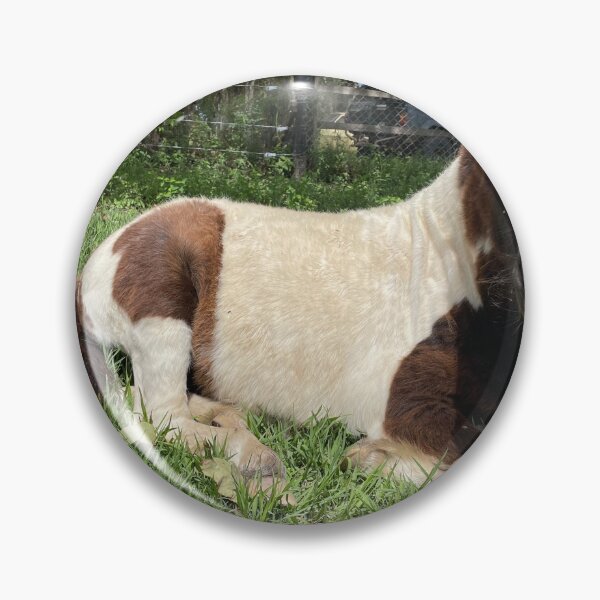 Item preview, Mini horse  designed and sold by Kirinslad2023.