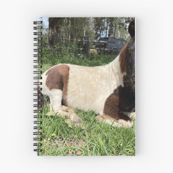 Item preview, Mini horse  designed and sold by Kirinslad2023.