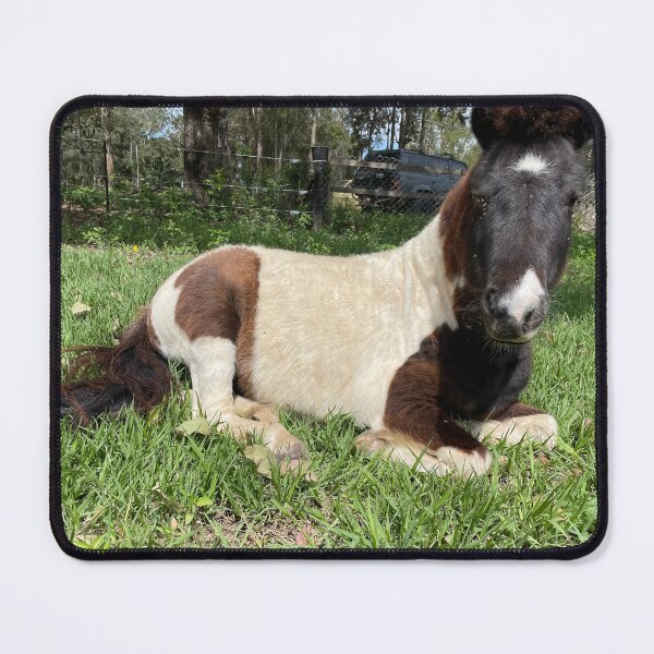 Item preview, Mini horse designed and sold by Kirinslad2023.