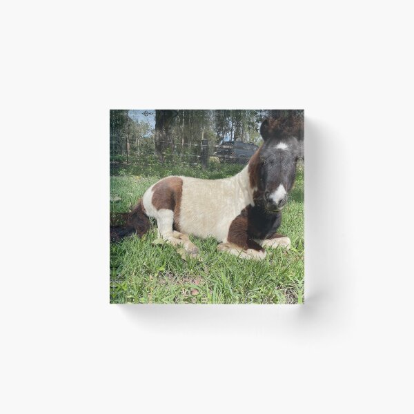 Item preview, Mini horse  designed and sold by Kirinslad2023.