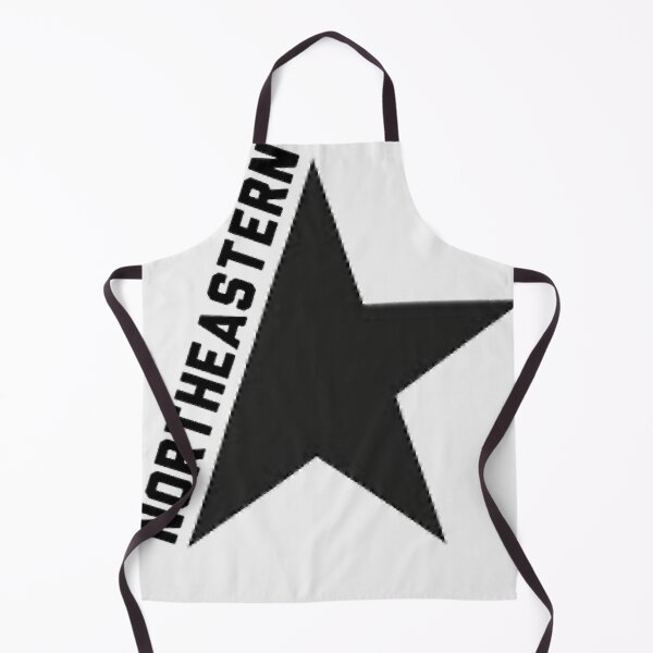 Item preview, Northeastern University CAMD designed and sold by Easten. Prevost..
