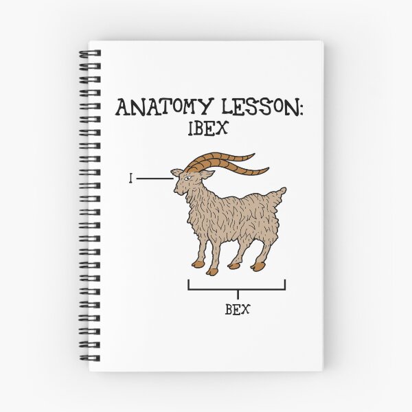 Item preview, Anatomy lesson: Ibex [Create a set!] designed and sold by SolidEarthArt.