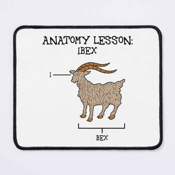Item preview, Anatomy lesson: Ibex [Create a set!] designed and sold by SolidEarthArt.