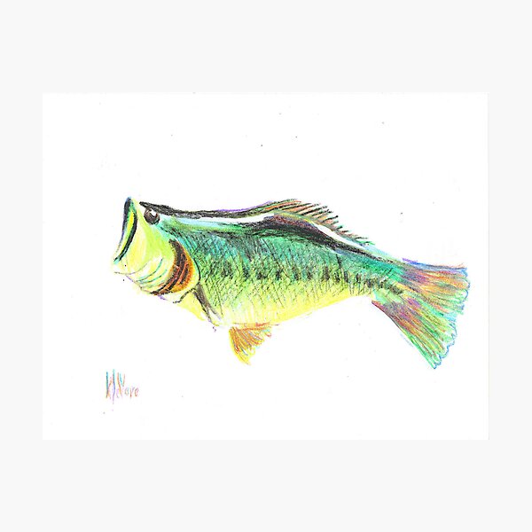 Item preview, Fisherman's Delight designed and sold by KipDeVore.