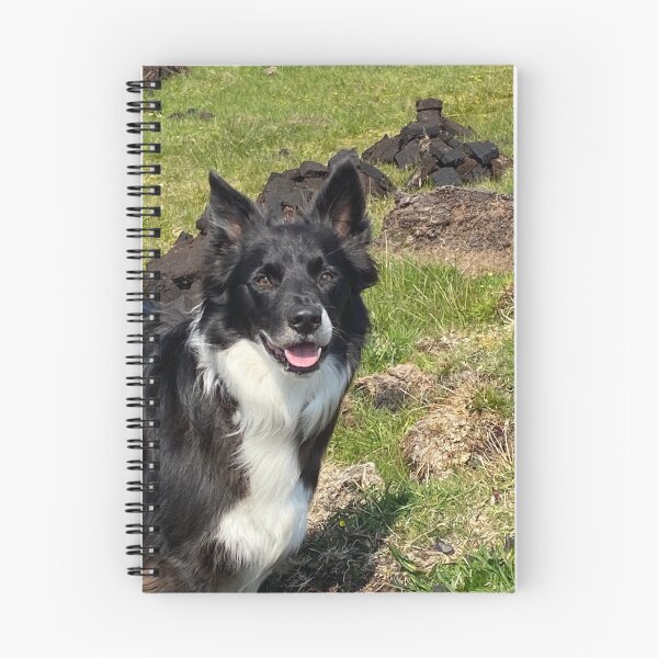Item preview, Ozzie, el hermoso Collie, vino de visita. designed and sold by SandraWTS.